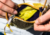 NL140801 Travel Pouch-Mustard Zig Zag/Squares
